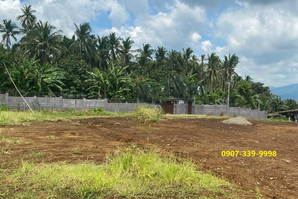 Land for Sale in Ibabang San Roque, Liliw, Laguna