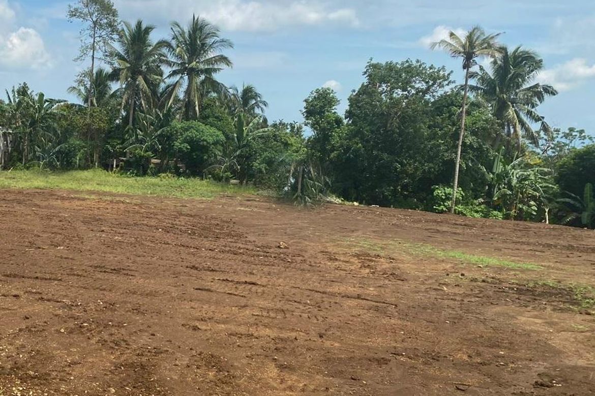 Land for Sale in Ibabang San Roque, Liliw, Laguna – photo 2