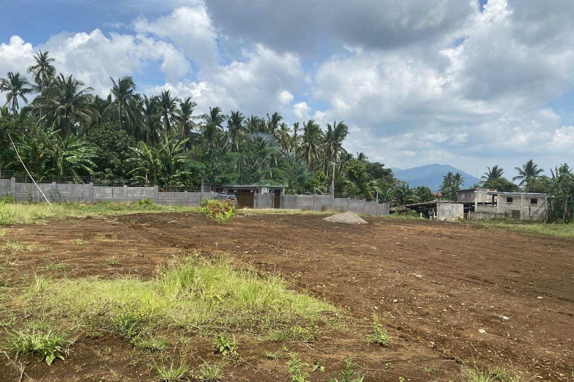 Land for Sale in Ibabang San Roque, Liliw, Laguna – photo 3