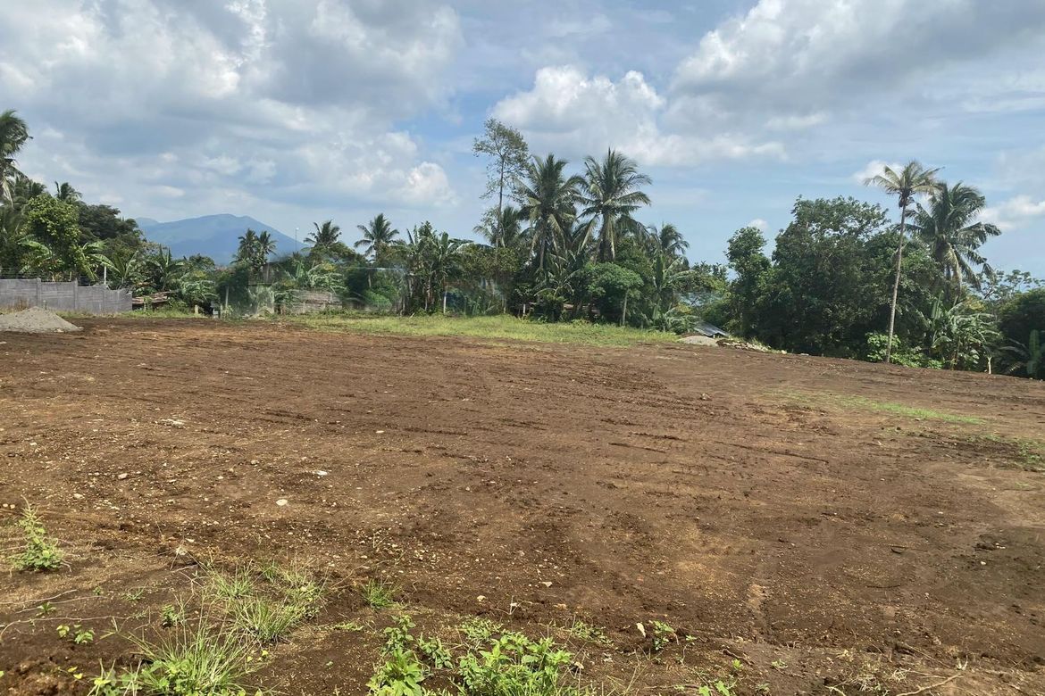 Land for Sale in Ibabang San Roque, Liliw, Laguna – photo 4