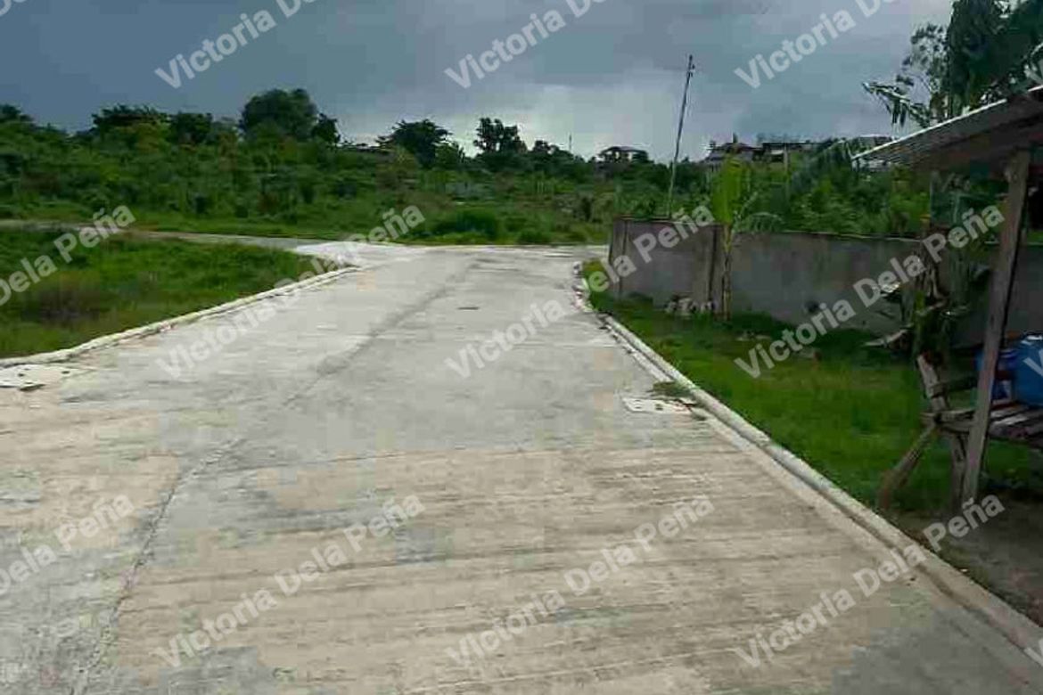 Land for Sale in Ibabao, Cordoba, Cebu – photo 4