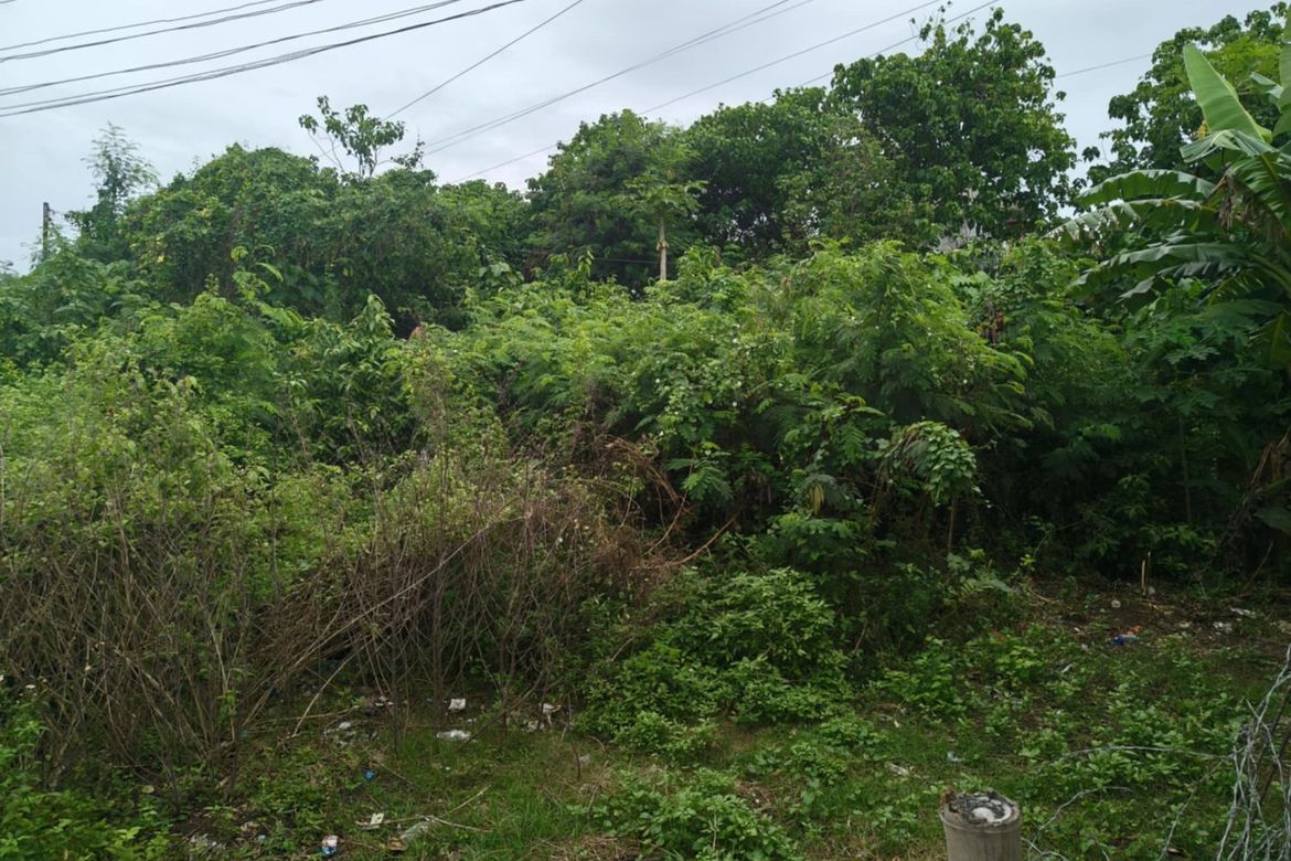 Land for Sale in Ibabao, Cordoba, Cebu – photo 4