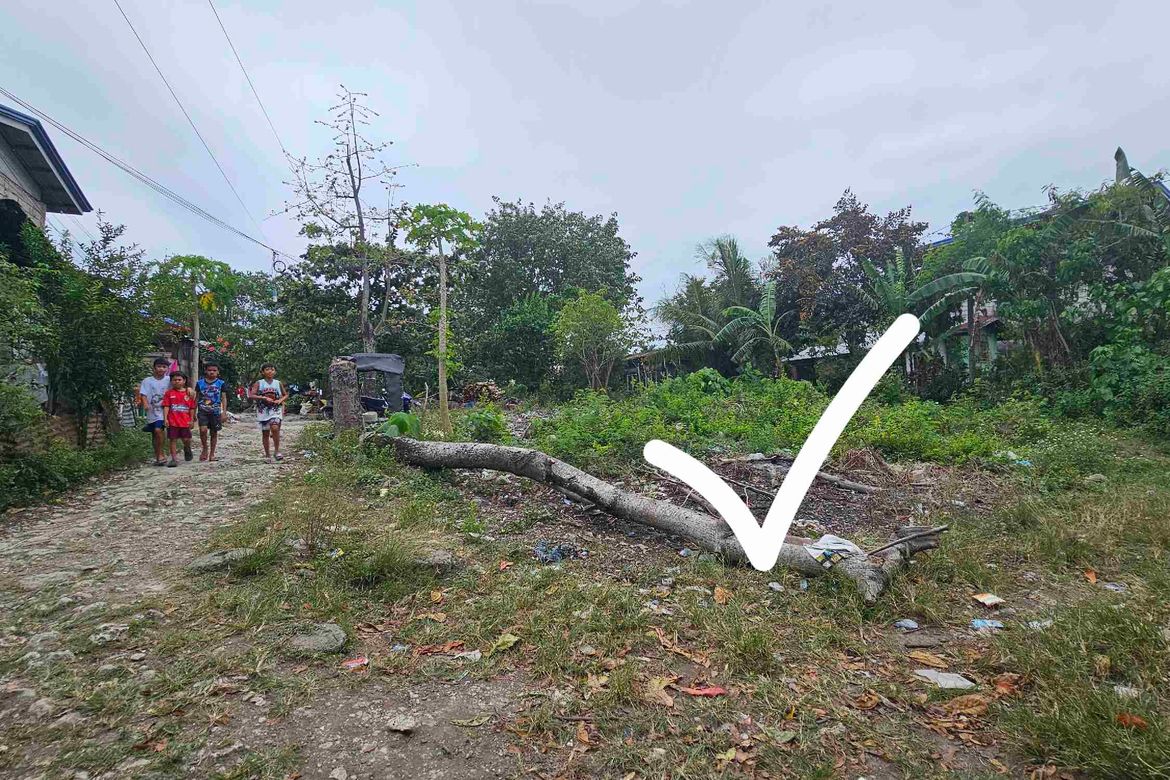 Land for Sale in Ibabao, Cordoba, Cebu – photo 2