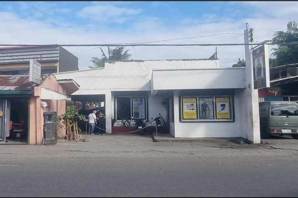 Land for Sale in Ibabao-Estancia, Mandaue, Cebu