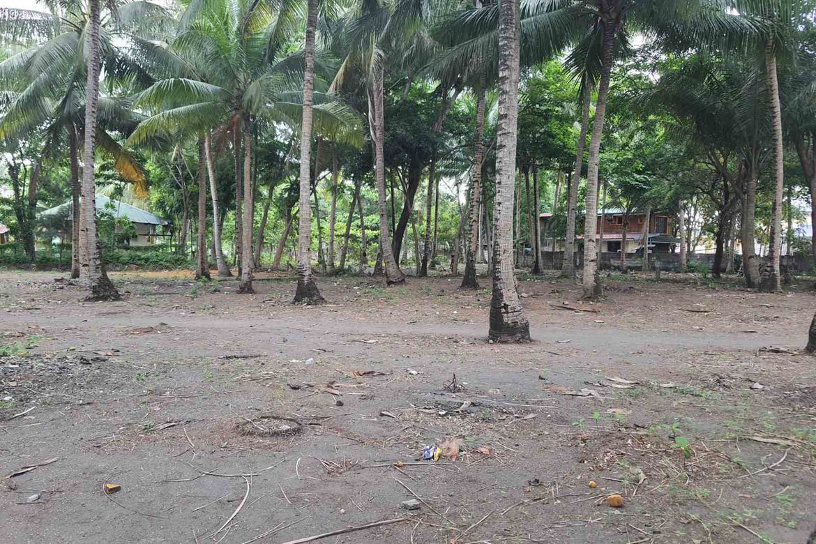 Land for Sale in Ibayo Estacion, Naic, Cavite – photo 2