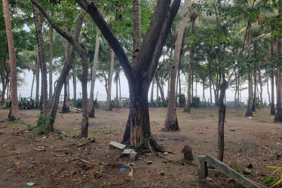 Land for Sale in Ibayo Estacion, Naic, Cavite – photo 6