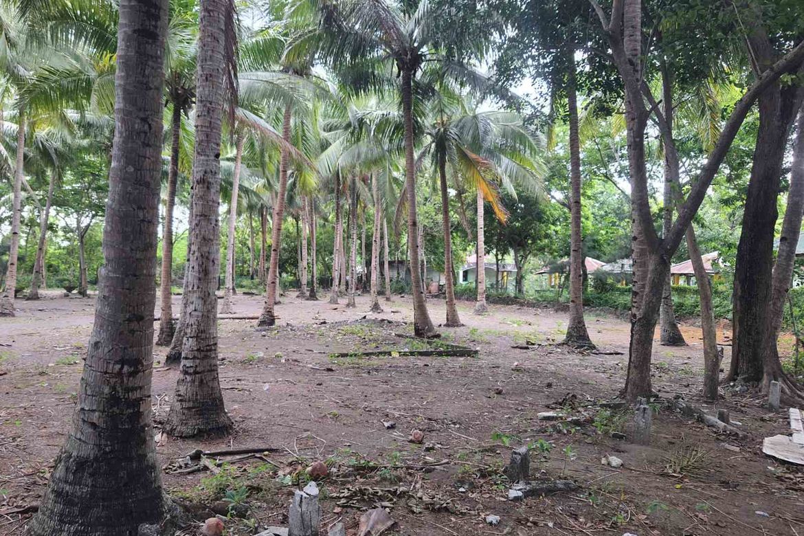 Land for Sale in Ibayo Estacion, Naic, Cavite – photo 7