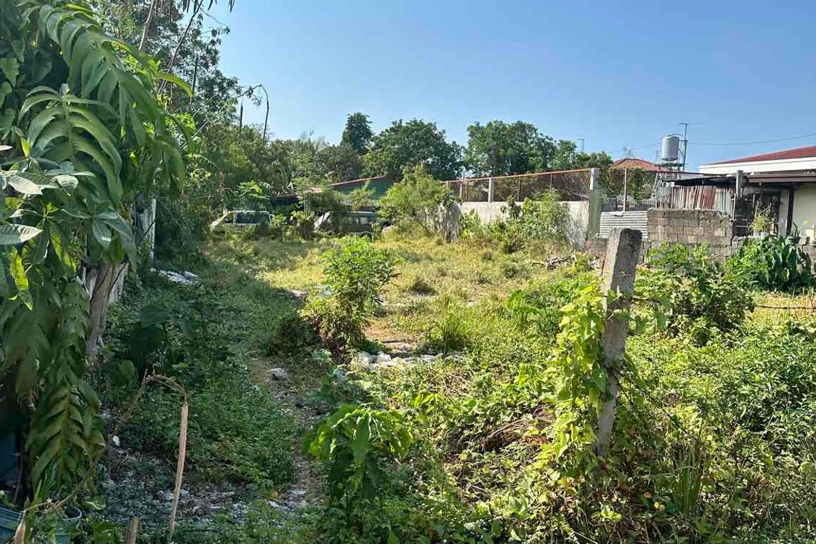 Land for Sale in Ibayo Silangan, Naic, Cavite – photo 3