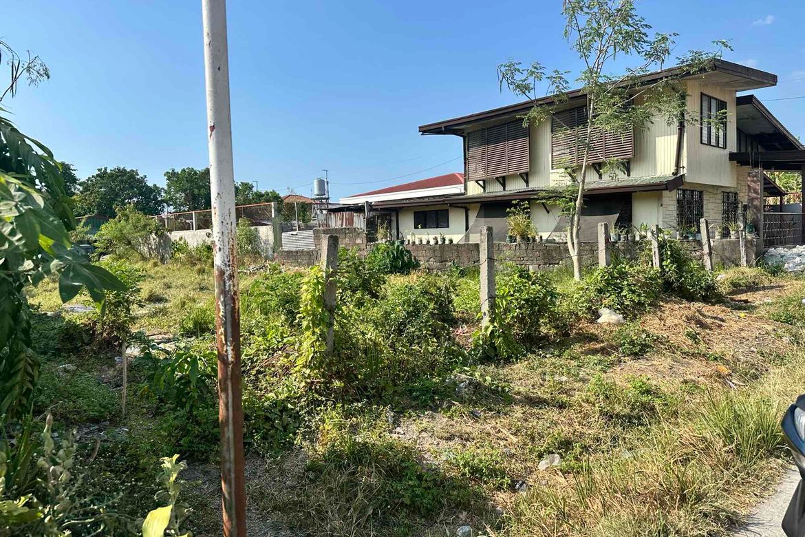 Land for Sale in Ibayo Silangan, Naic, Cavite – photo 4