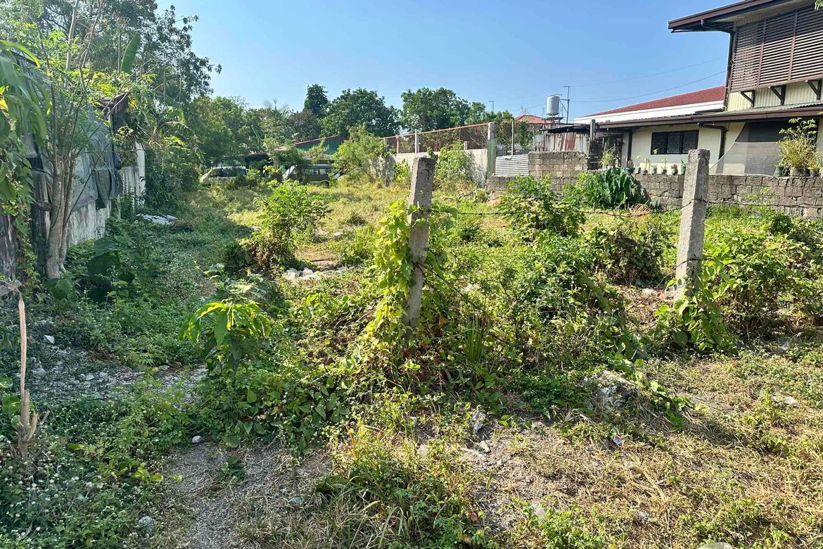 Land for Sale in Ibayo Silangan, Naic, Cavite – photo 8