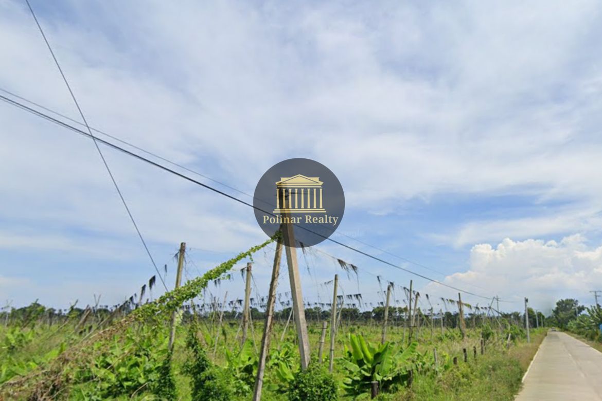 Land for Sale in Igpit, Digos, Davao del Sur – photo 2