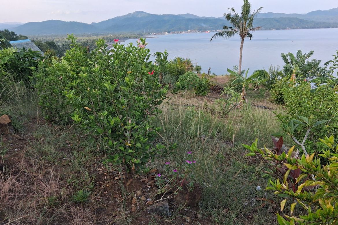 Land for Sale in Ilaya, Hinunangan, Southern Leyte – photo 2