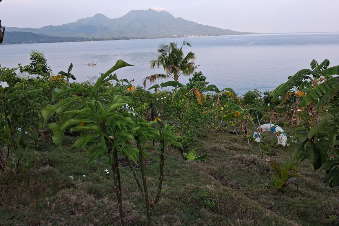 Land for Sale in Ilaya, Hinunangan, Southern Leyte – photo 4