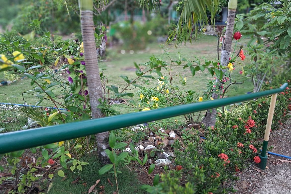 Land for Sale in Ilaya, Hinunangan, Southern Leyte – photo 8