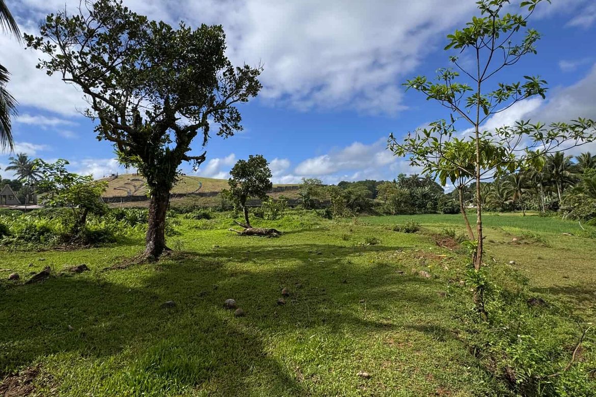 Land for Sale in Ilayang Iyam, Lucena, Quezon – photo 3