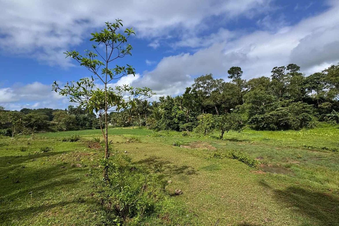 Land for Sale in Ilayang Iyam, Lucena, Quezon – photo 4