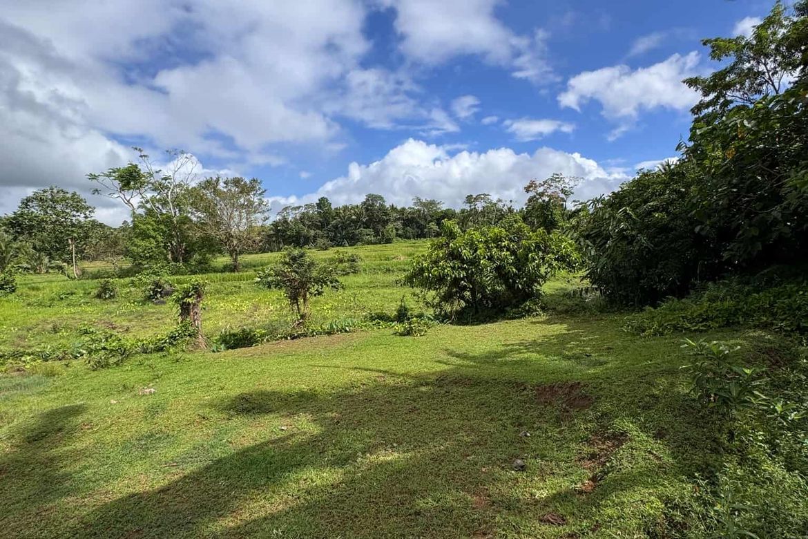 Land for Sale in Ilayang Iyam, Lucena, Quezon – photo 6