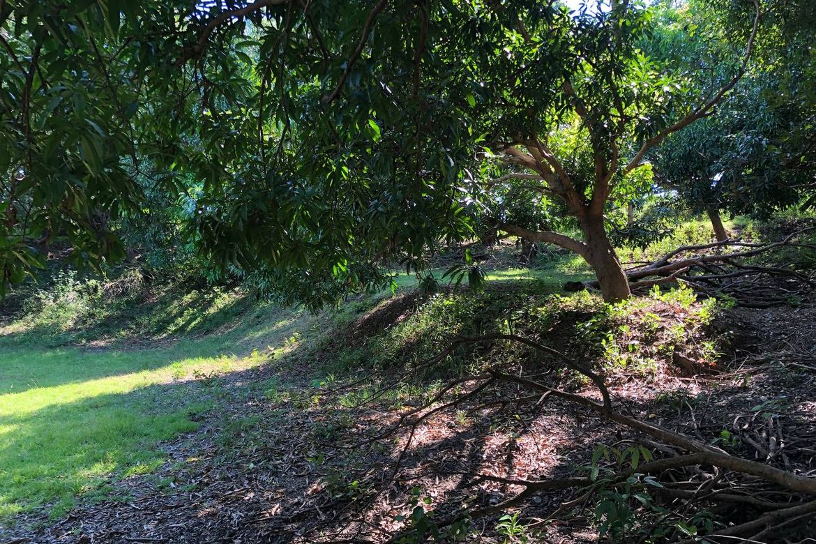 Land for Sale in Ili Norte, San Juan, La Union – photo 2