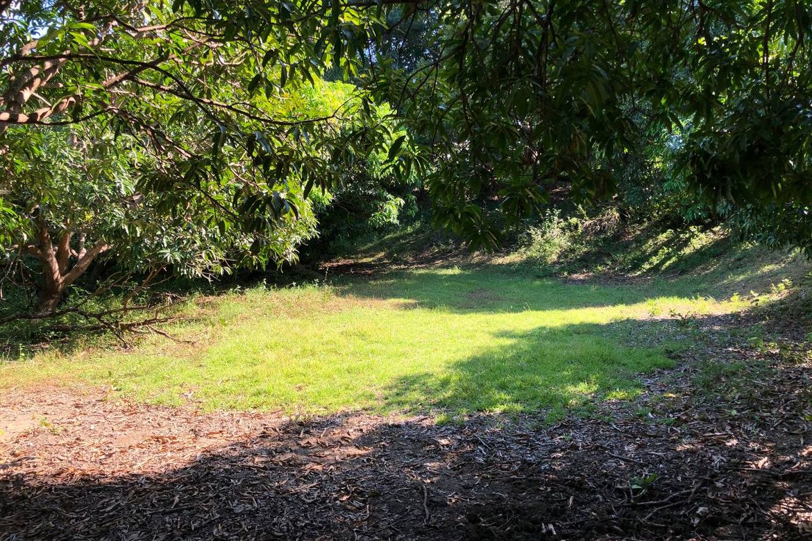 Land for Sale in Ili Norte, San Juan, La Union – photo 4