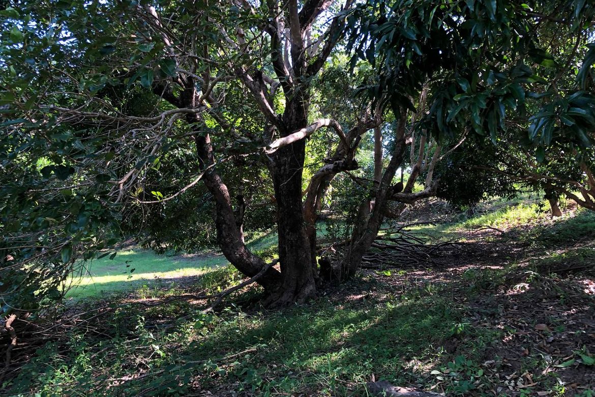 Land for Sale in Ili Norte, San Juan, La Union – photo 5