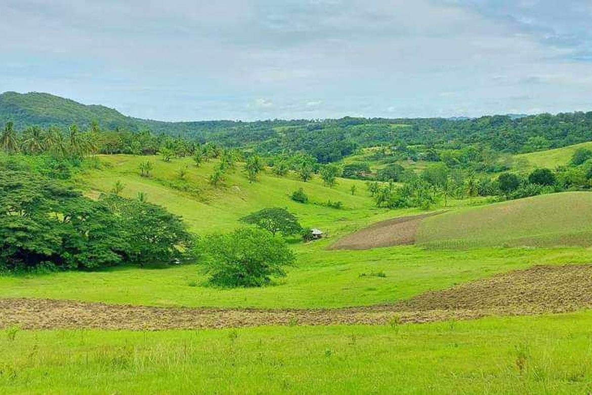 Land for Sale in Ilihan, Tabogon, Cebu