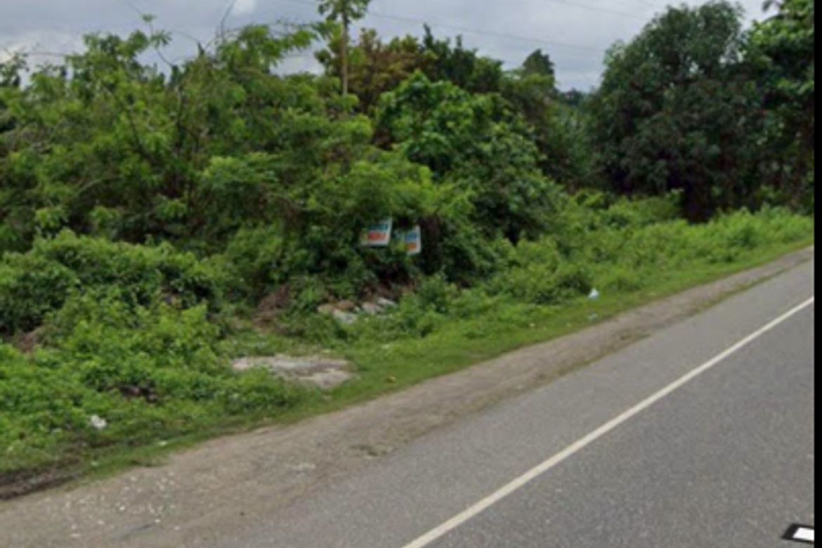 Land for Sale in Ilihan, Toledo, Cebu – photo 2