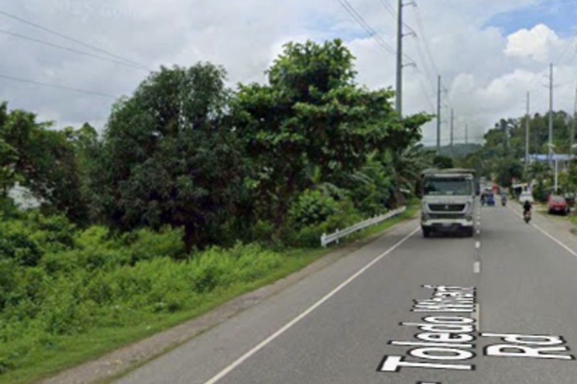 Land for Sale in Ilihan, Toledo, Cebu – photo 5