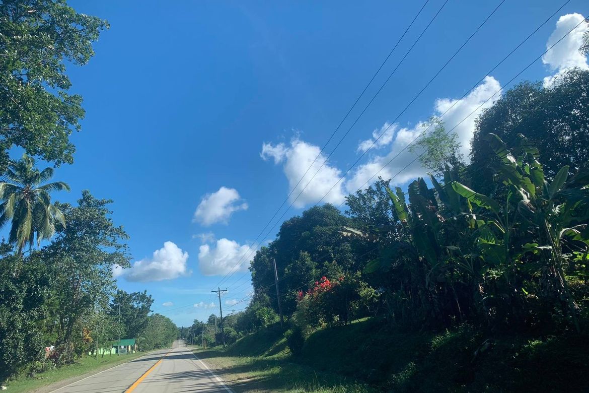 Land for Sale in Ilihan, Ubay, Bohol – photo 4