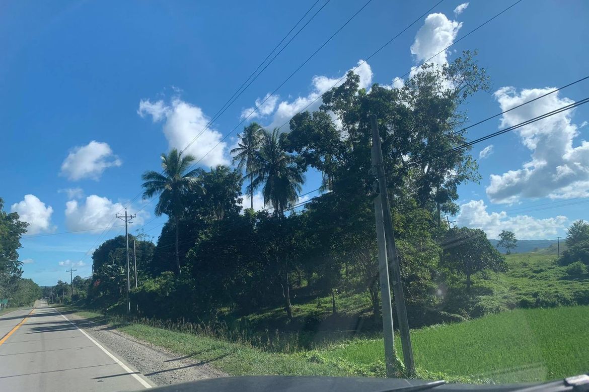 Land for Sale in Ilihan, Ubay, Bohol – photo 5