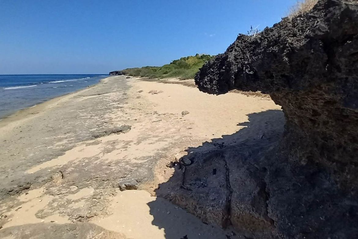 Land for Sale in Ilio-ilio, Burgos, Pangasinan – photo 2