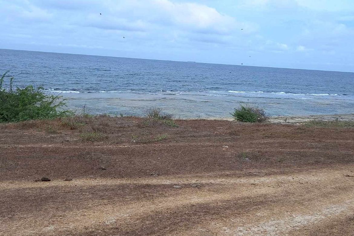 Land for Sale in Ilio-ilio, Burgos, Pangasinan – photo 5