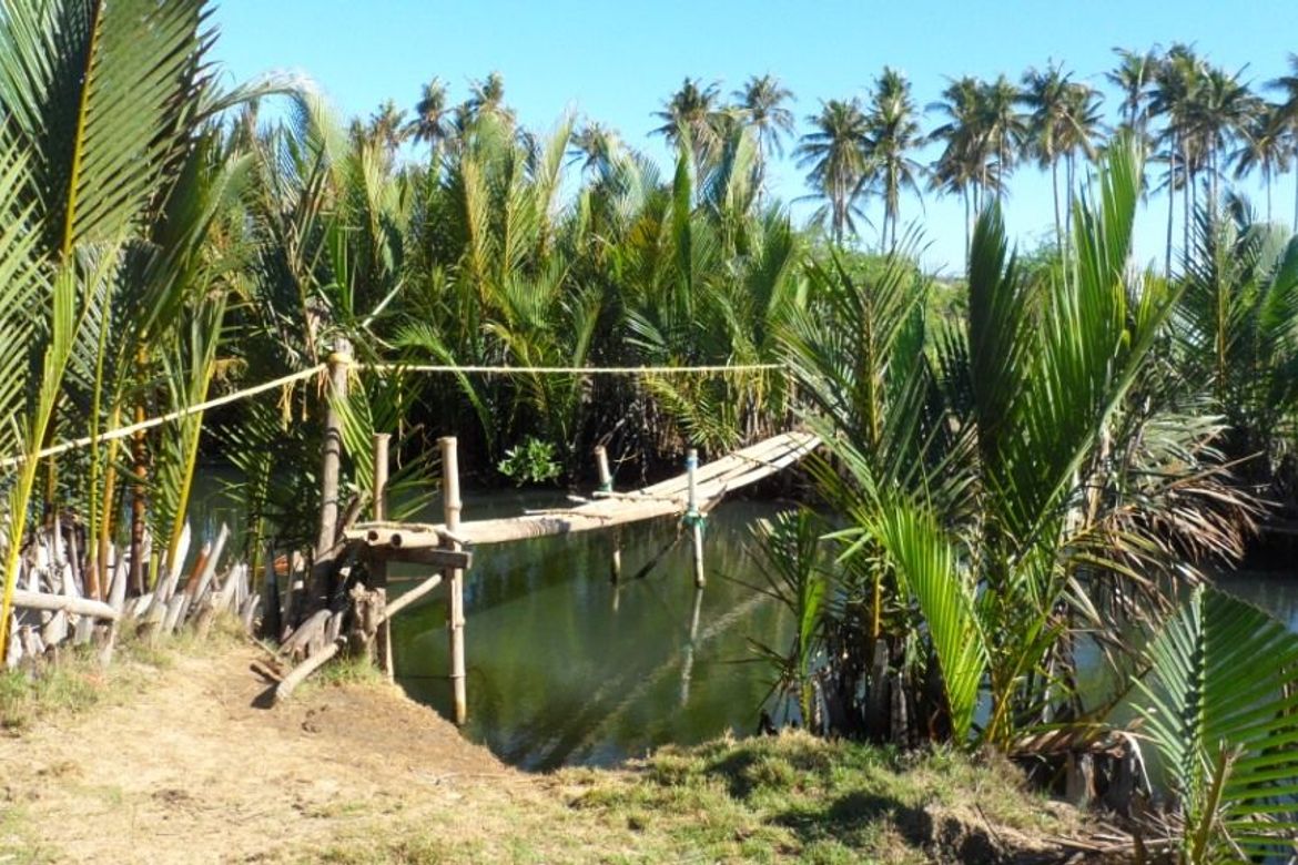 Land for Sale in Ilogmalino, Bolinao, Pangasinan – photo 3