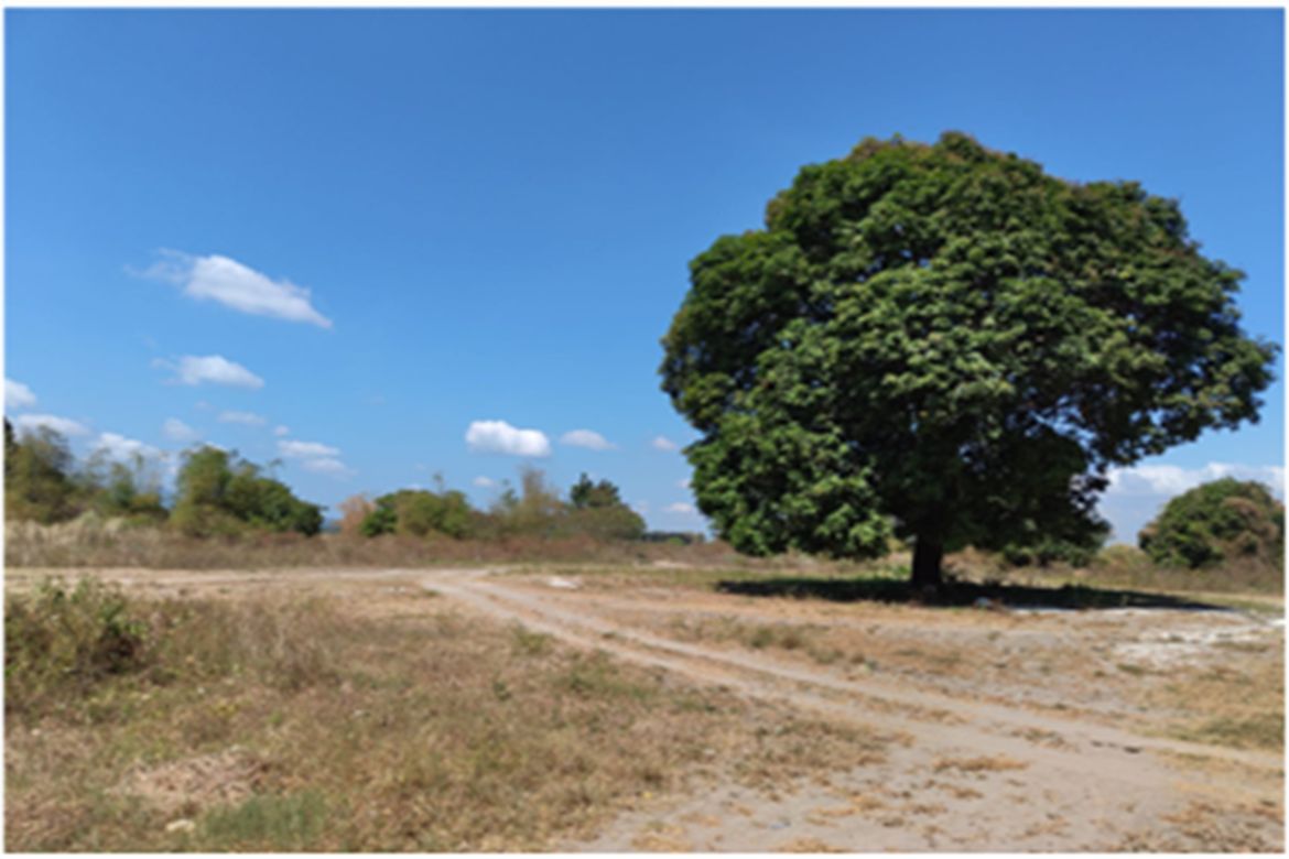 Land for Sale in Imelda, Samal, Bataan – photo 6