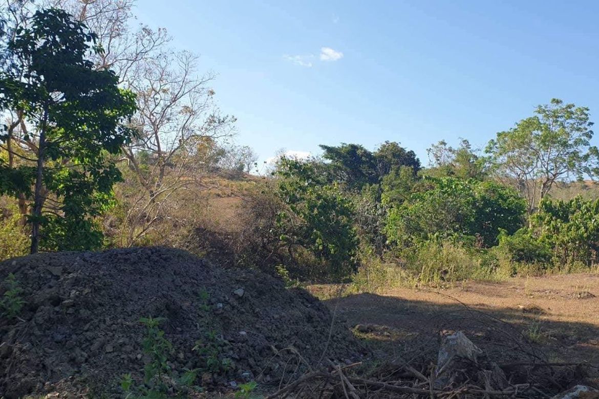 Land for Sale in Imelda Valley, Palayan, Nueva Ecija