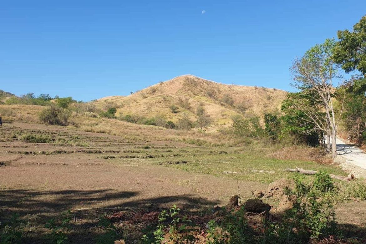 Land for Sale in Imelda Valley, Palayan, Nueva Ecija – photo 3