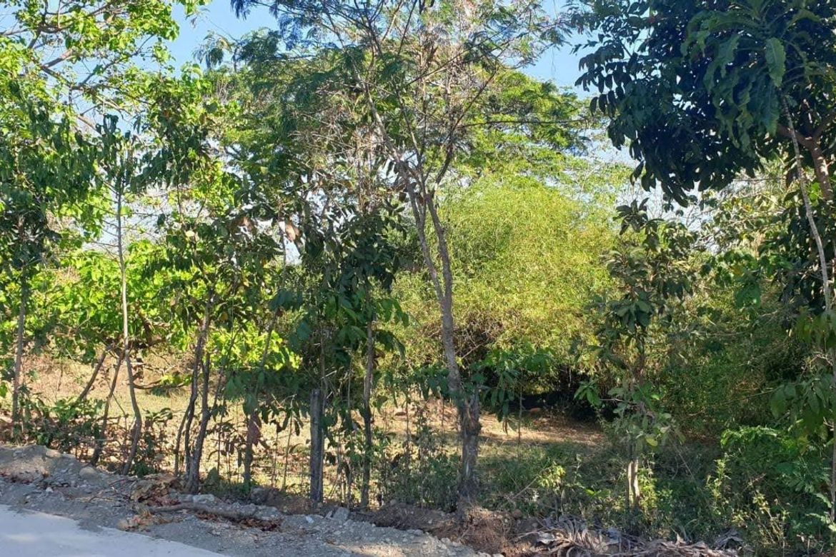 Land for Sale in Imelda Valley, Palayan, Nueva Ecija – photo 4