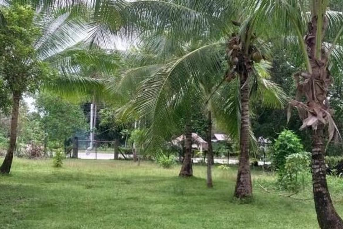 Land for Sale in Inagawan, Puerto Princesa, Palawan – photo 2