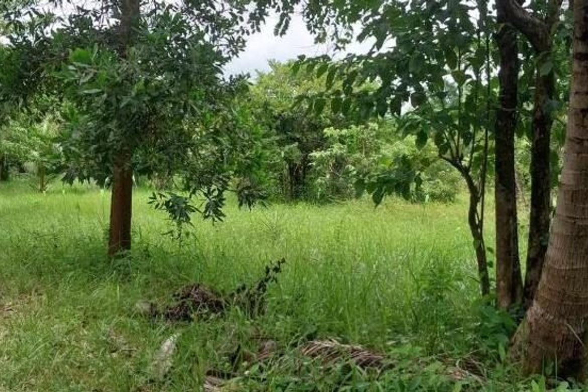 Land for Sale in Inagawan, Puerto Princesa, Palawan – photo 3