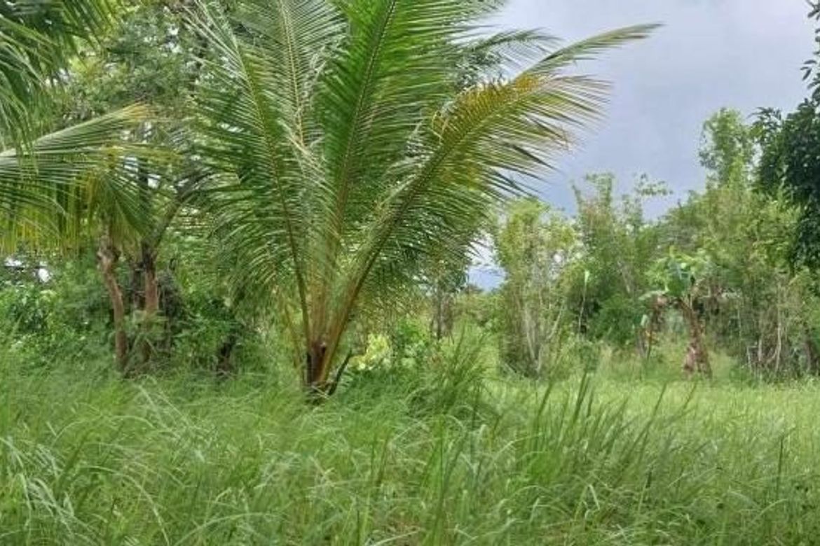 Land for Sale in Inagawan, Puerto Princesa, Palawan – photo 5