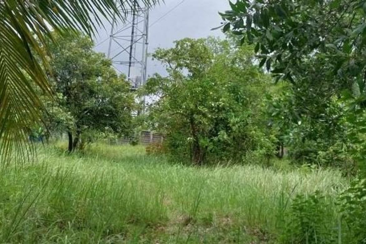 Land for Sale in Inagawan, Puerto Princesa, Palawan – photo 6