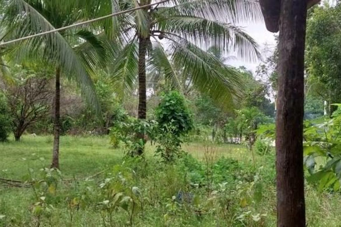 Land for Sale in Inagawan, Puerto Princesa, Palawan – photo 7