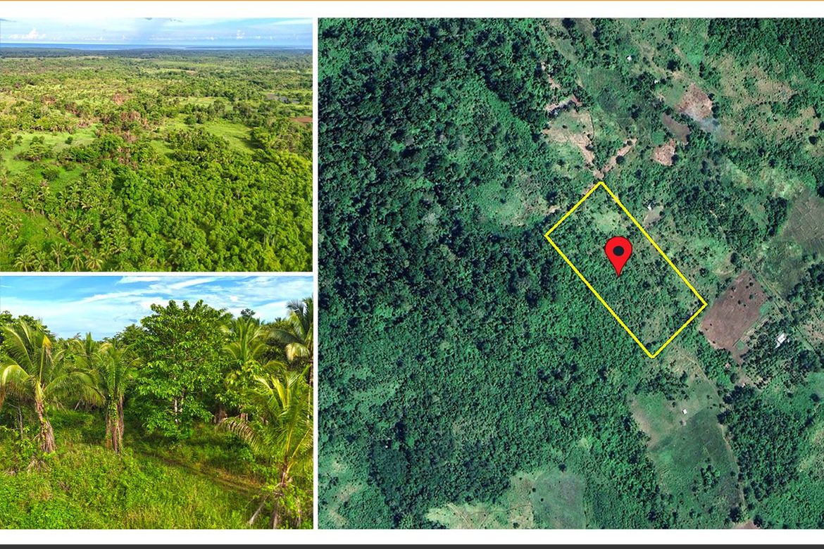 Land for Sale in Inagawan Sub-Colony, Puerto Princesa, Palawan