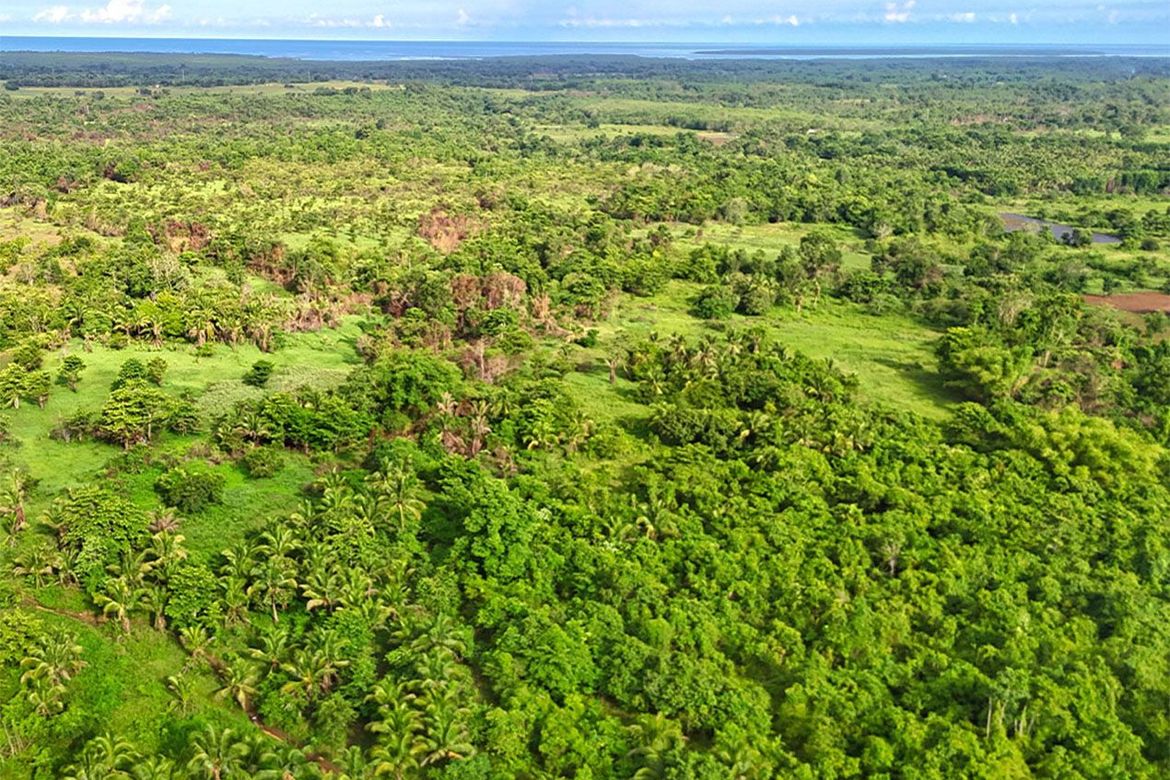Land for Sale in Inagawan Sub-Colony, Puerto Princesa, Palawan – photo 2