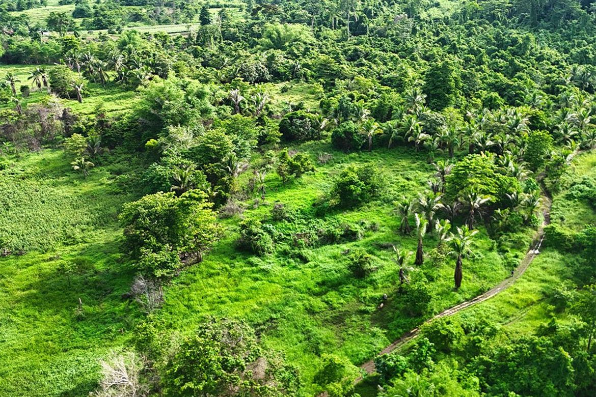 Land for Sale in Inagawan Sub-Colony, Puerto Princesa, Palawan – photo 6