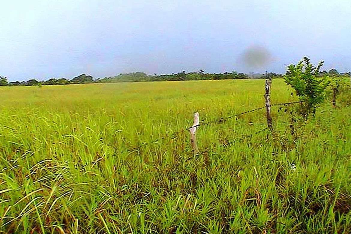 Land for Sale in Inagawan Sub-Colony, Puerto Princesa, Palawan – photo 2
