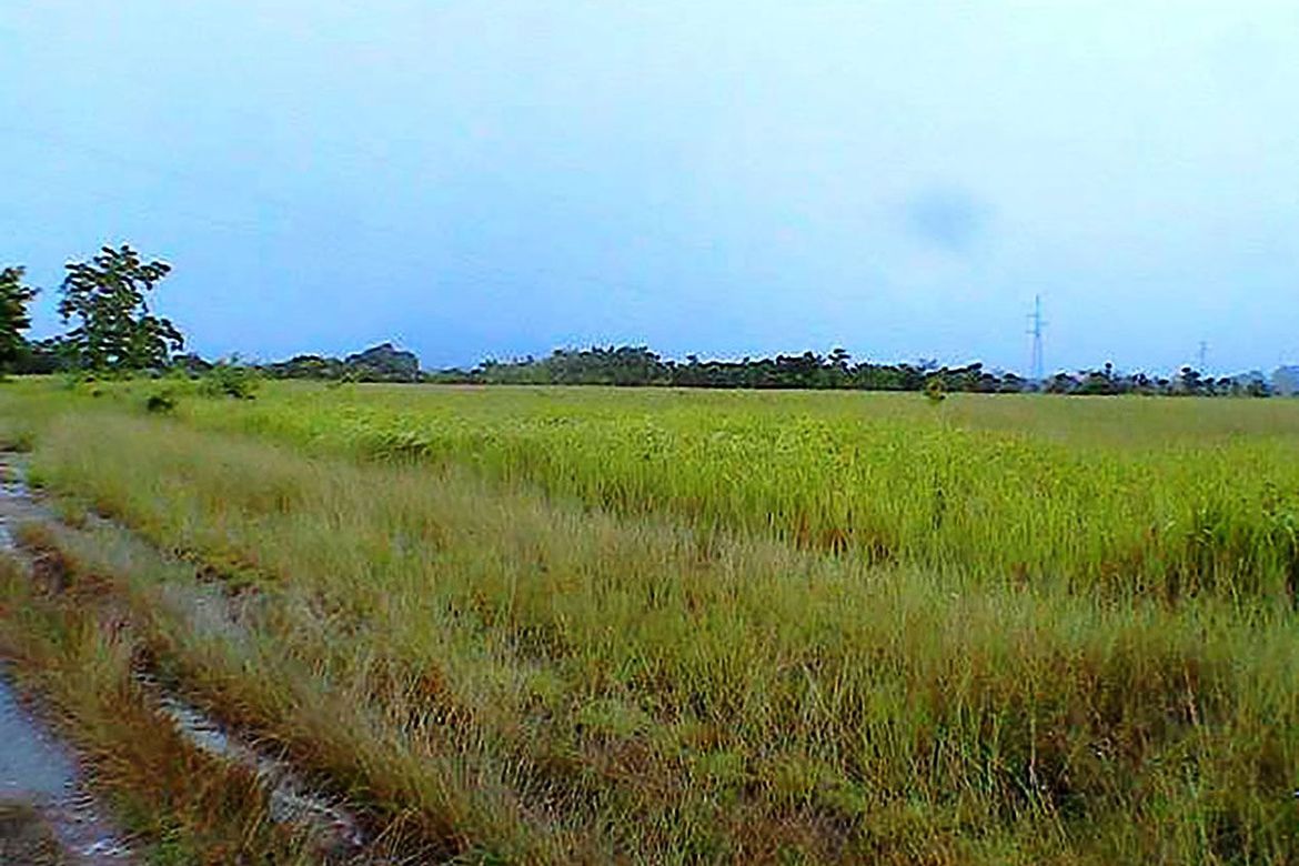 Land for Sale in Inagawan Sub-Colony, Puerto Princesa, Palawan – photo 4