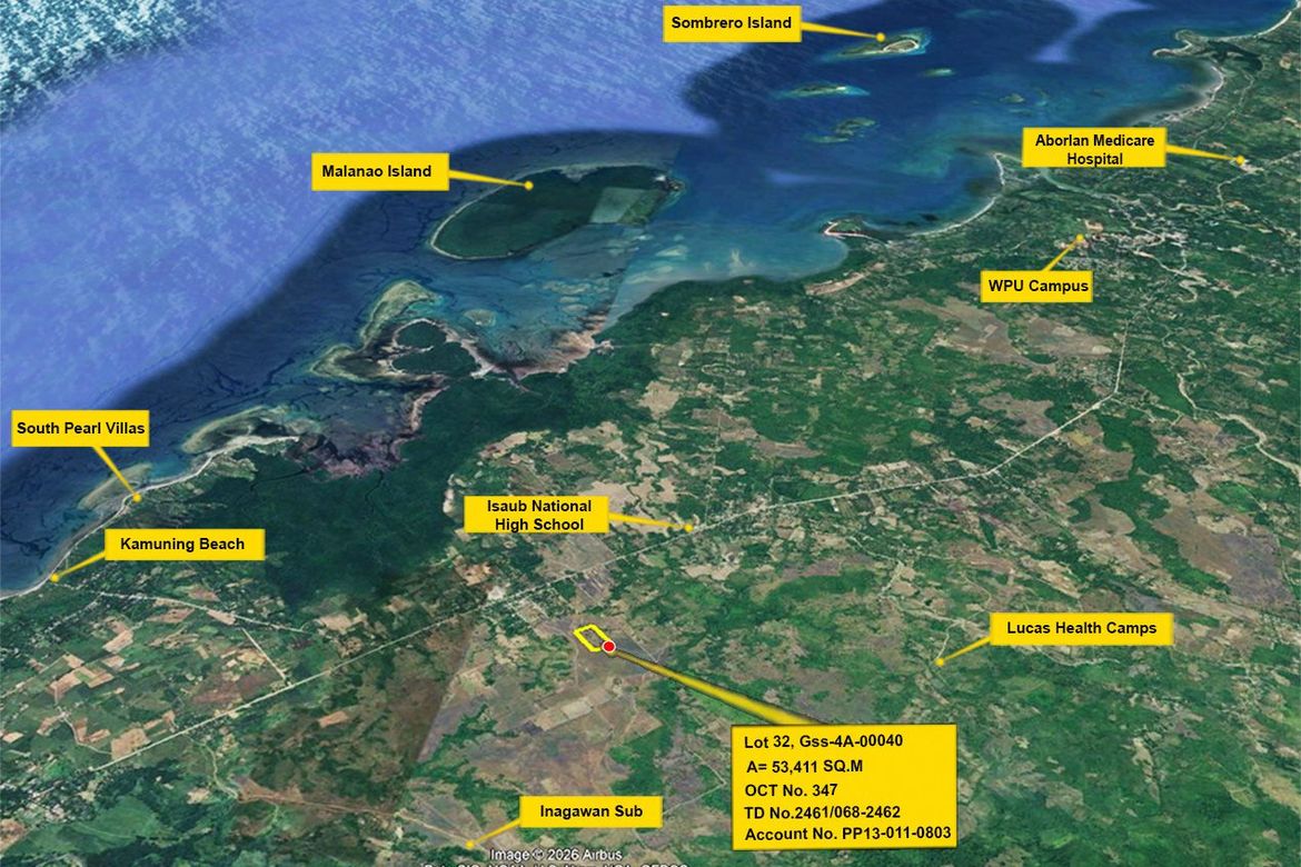 Land for Sale in Inagawan Sub-Colony, Puerto Princesa, Palawan – photo 8