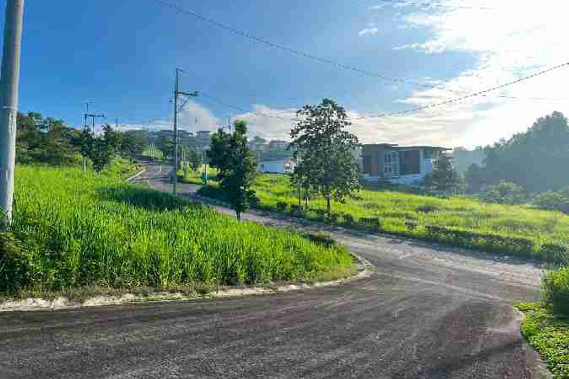 Land for Sale in Inarawan, Antipolo, Rizal – photo 4