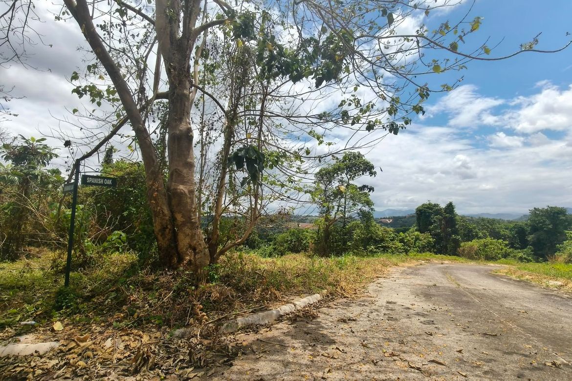 Land for Sale in Inarawan, Antipolo, Rizal – photo 2