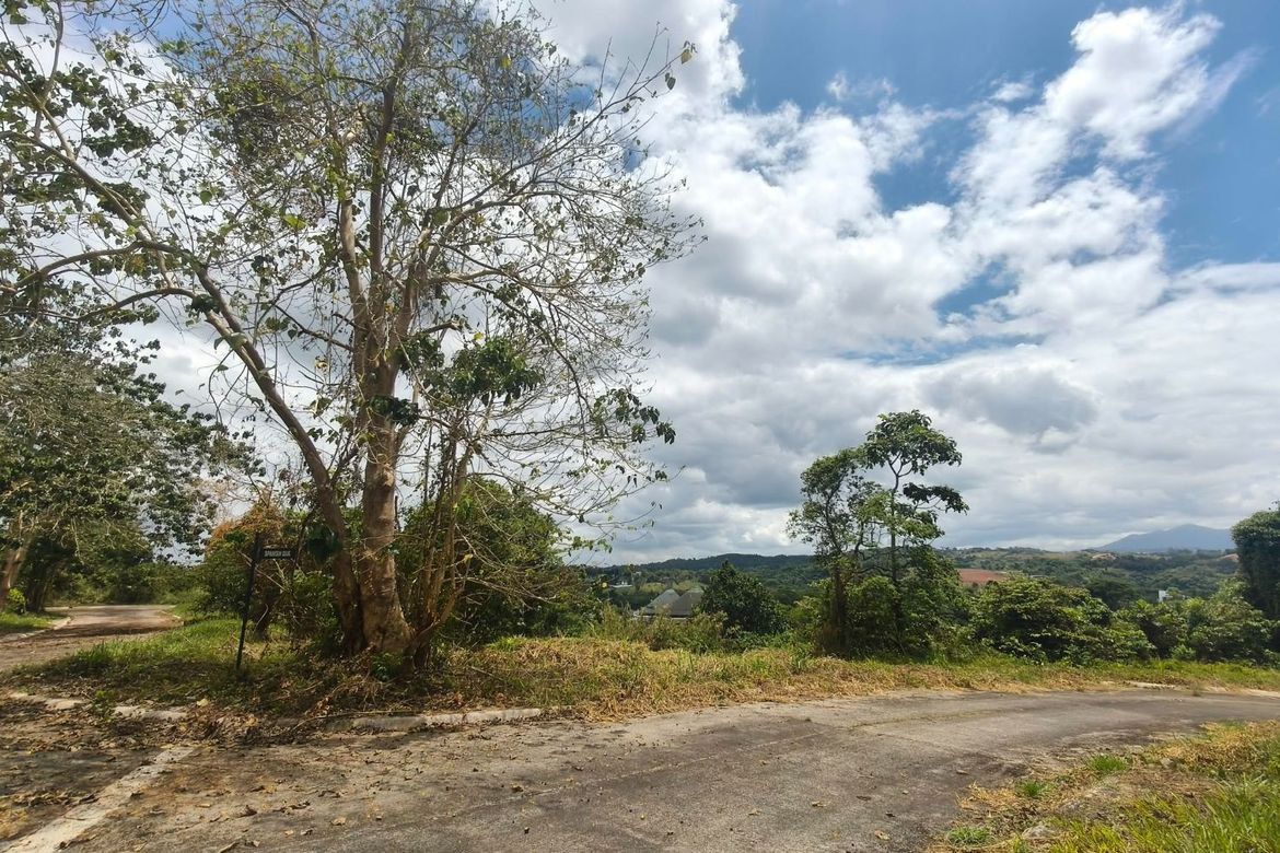 Land for Sale in Inarawan, Antipolo, Rizal – photo 3